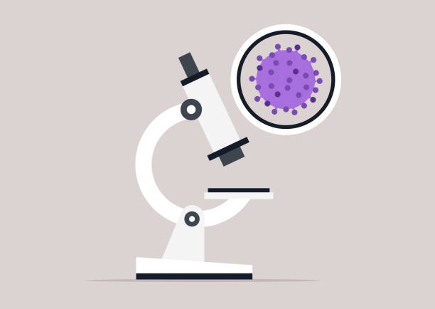 Test Preparation Guidelines